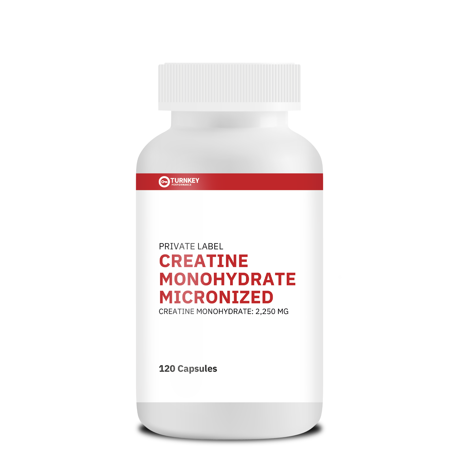 Turnkey Creatine Monohydrate Micronized